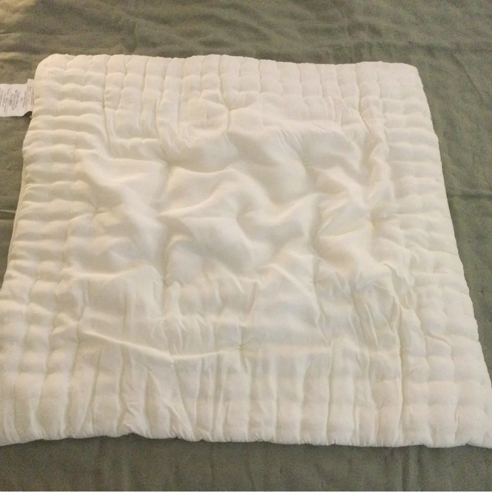 Pottery Barn Ivory Silk Euro Pillow Sham